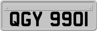 QGY9901