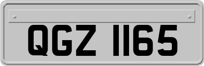 QGZ1165