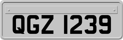 QGZ1239