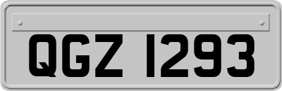 QGZ1293