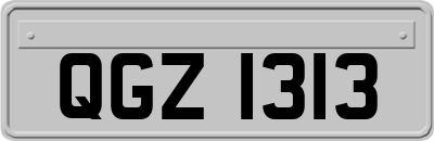 QGZ1313