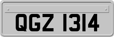 QGZ1314