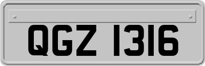QGZ1316