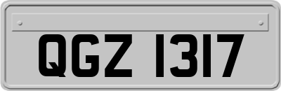 QGZ1317
