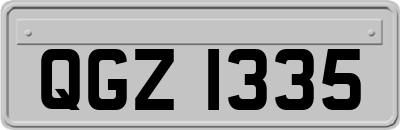 QGZ1335