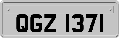 QGZ1371