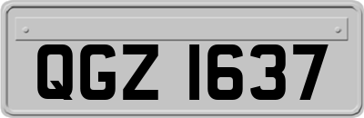 QGZ1637