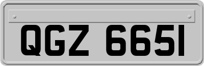 QGZ6651