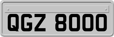 QGZ8000
