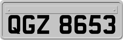 QGZ8653