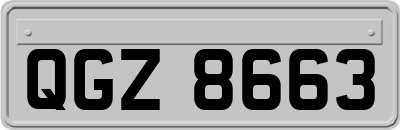 QGZ8663