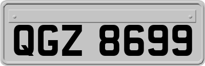 QGZ8699