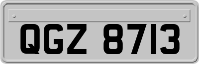 QGZ8713