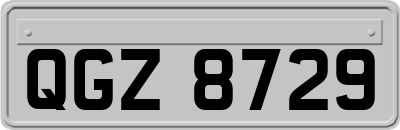 QGZ8729