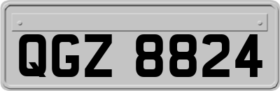 QGZ8824