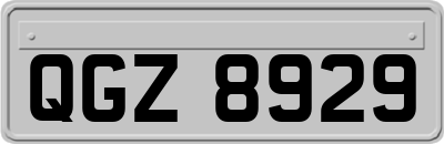 QGZ8929