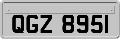 QGZ8951