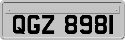 QGZ8981