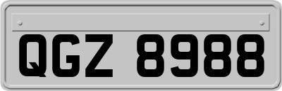 QGZ8988