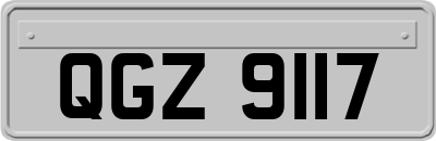 QGZ9117