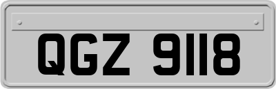QGZ9118