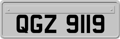 QGZ9119