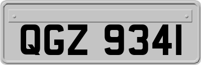 QGZ9341