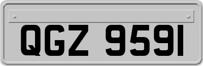 QGZ9591