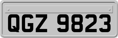 QGZ9823