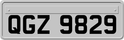 QGZ9829