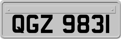 QGZ9831