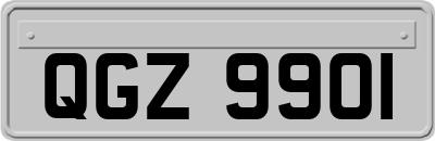 QGZ9901