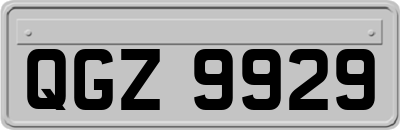 QGZ9929