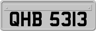 QHB5313