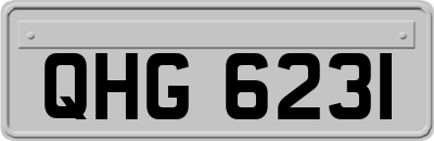 QHG6231