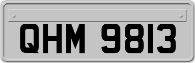 QHM9813