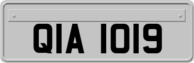 QIA1019