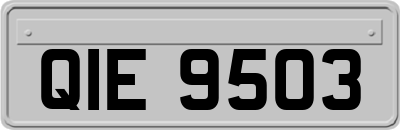 QIE9503