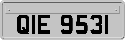QIE9531