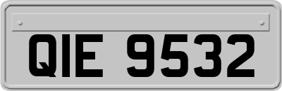QIE9532