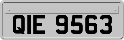QIE9563