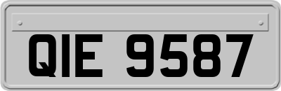 QIE9587
