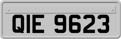 QIE9623
