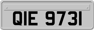QIE9731