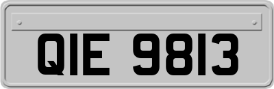 QIE9813