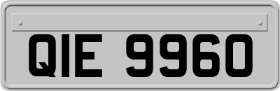 QIE9960
