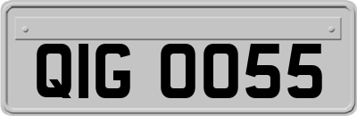 QIG0055