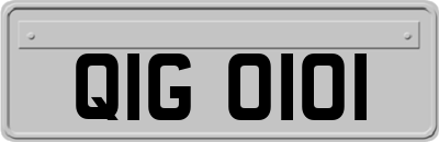 QIG0101