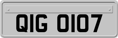 QIG0107