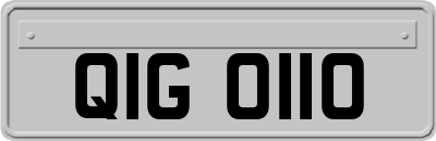 QIG0110